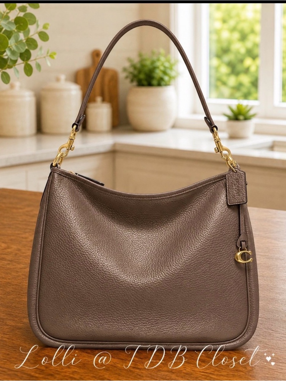 COACH Cary Dark Stone NWOT MSRP $395